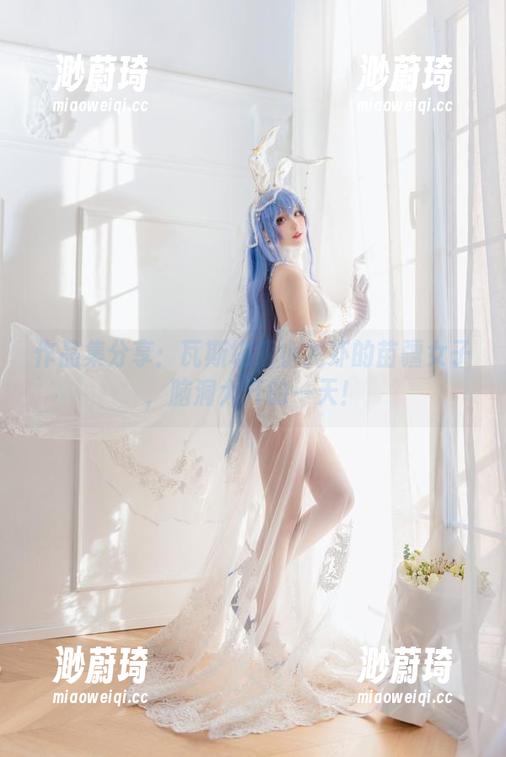 作品集分享：瓦斯塔亚小龙虾的苗疆女子，脑洞大开的一天！